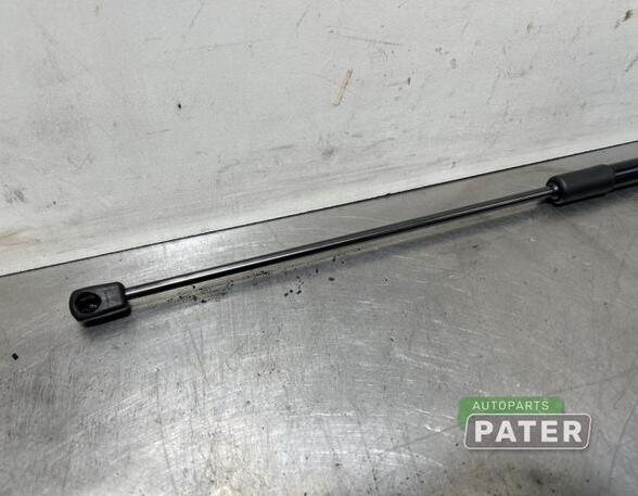 Gas Spring AUDI Q3 Sportback (F3N)