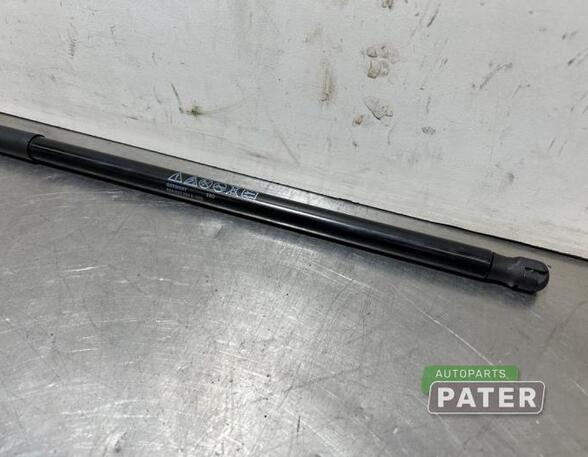 Gas Spring AUDI Q3 Sportback (F3N)