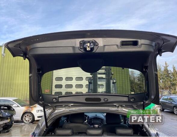 Boot (Trunk) Lid NISSAN JUKE (F15)