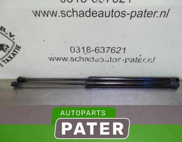 Bootlid (Tailgate) Gas Strut Spring NISSAN QASHQAI II SUV (J11, J11_)