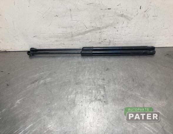 Bootlid (Tailgate) Gas Strut Spring RENAULT CLIO V (B7_)