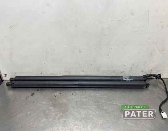 Bootlid (Tailgate) Gas Strut Spring TESLA MODEL X (5YJX)