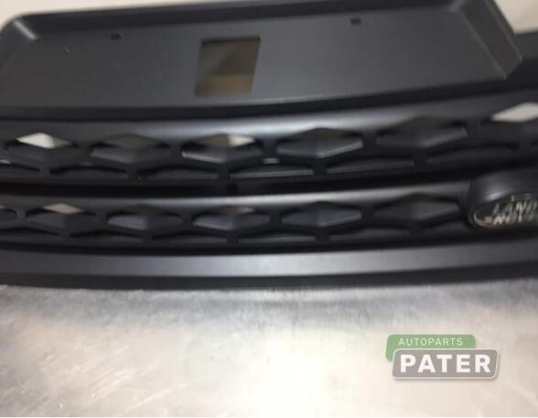 Radiator Grille LAND ROVER RANGE ROVER SPORT (L494), LAND ROVER RANGE ROVER SPORT III (L461)