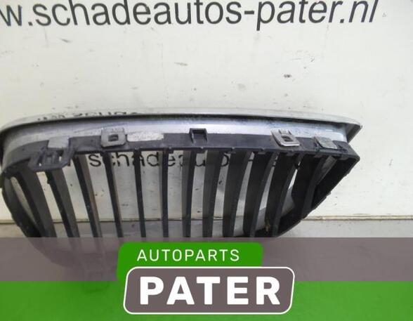 Radiateurgrille BMW 1 (E87), BMW 1 (E81), BMW 1 Coupe (E82)