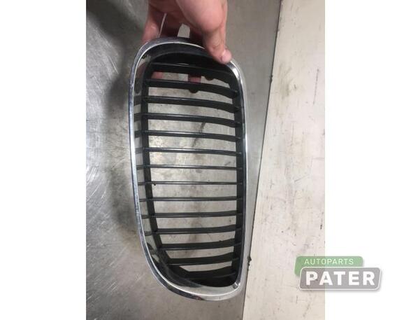 Radiator Grille BMW 3 Coupe (E92), BMW 3 Touring (E91)