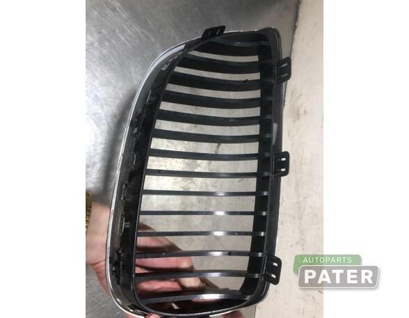 Radiator Grille BMW 3 Coupe (E92), BMW 3 Touring (E91)