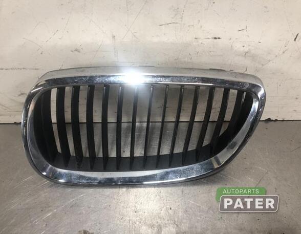 Radiator Grille BMW 3 Coupe (E92), BMW 3 Touring (E91)