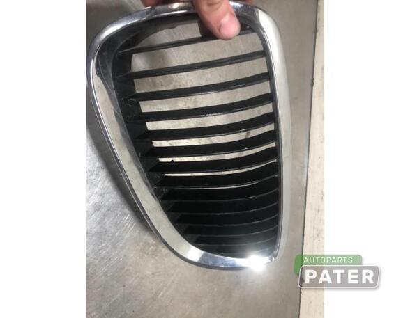 Radiator Grille BMW 3 Coupe (E92), BMW 3 Touring (E91)