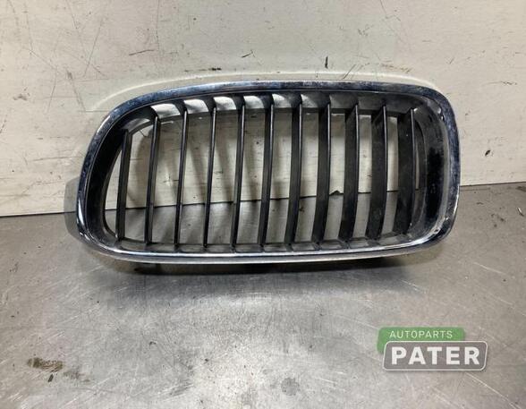 Radiator Grille BMW 3 Touring (F31), BMW 3 Touring Van (F31), BMW 3 Touring Van (G21)