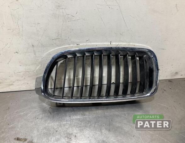 Radiator Grille BMW 3 Touring (F31), BMW 3 Touring Van (F31), BMW 3 Touring Van (G21)