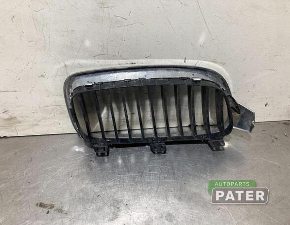 Radiator Grille BMW 3 Touring (F31), BMW 3 Touring Van (F31), BMW 3 Touring Van (G21)