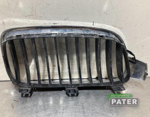 Radiator Grille BMW 3 Touring (F31), BMW 3 Touring Van (F31), BMW 3 Touring Van (G21)