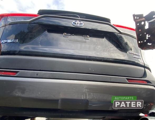 Bumper TOYOTA RAV 4 V (_A5_, _H5_)