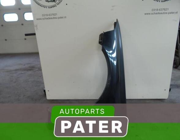 Spatbord RENAULT LAGUNA II (BG0/1_)