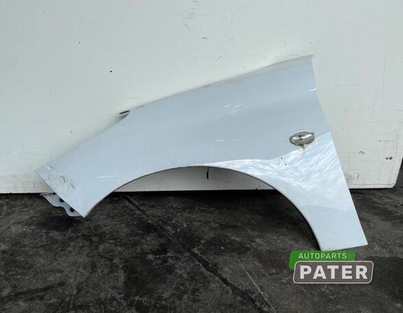 Wing PEUGEOT 206+ (2L_, 2M_)