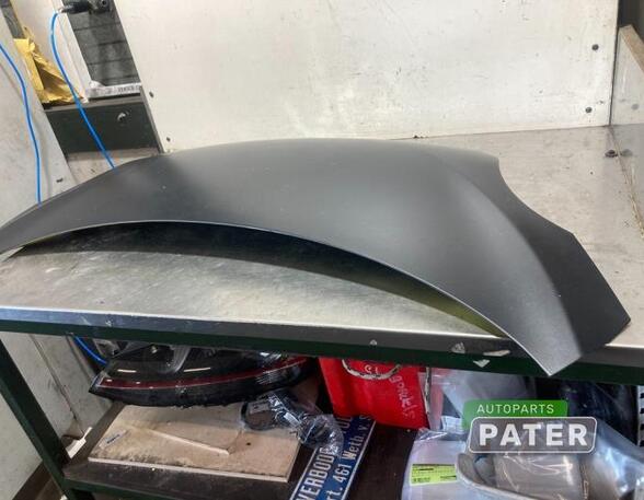 Bonnet PEUGEOT 107 (PM_, PN_)