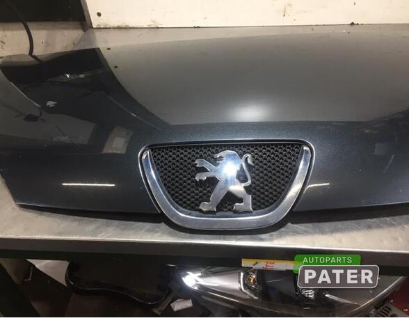 Bonnet PEUGEOT 107 (PM_, PN_)