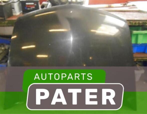 Motorhaube Renault Vel Satis BJ  P4388206