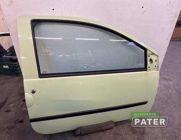 Door RENAULT TWINGO II (CN0_)