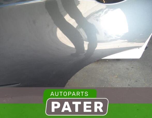 Deur BMW X5 (E70), BMW X6 (E71, E72), BMW X3 (F25)