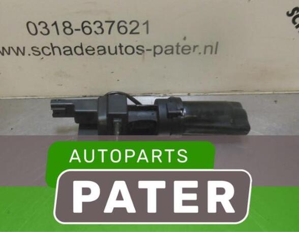 Door Check Strap RENAULT VEL SATIS (BJ0_)