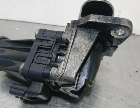 EGR Valve RENAULT CLIO III (BR0/1, CR0/1), RENAULT CLIO IV (BH_)