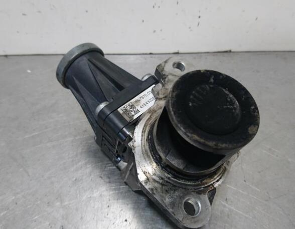 EGR Valve RENAULT CLIO III (BR0/1, CR0/1), RENAULT CLIO IV (BH_)