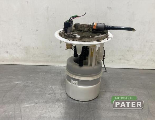 Fuel Pump CITROËN C5 III (RD_)