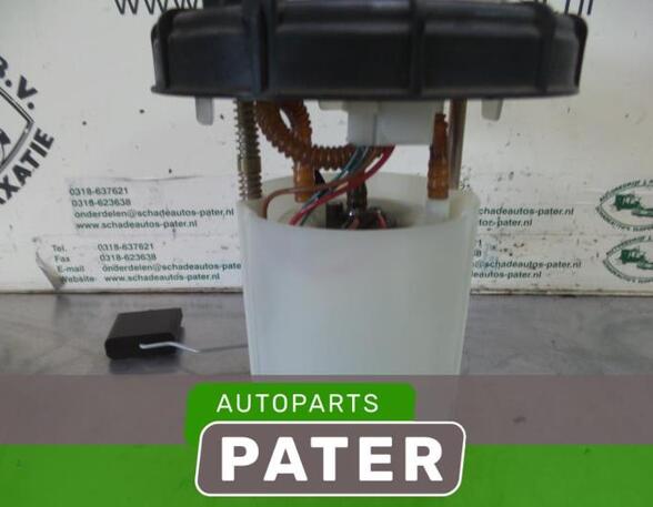 Fuel Pump CITROËN C4 GRAND PICASSO I (UA_), CITROËN C4 PICASSO I MPV (UD_)