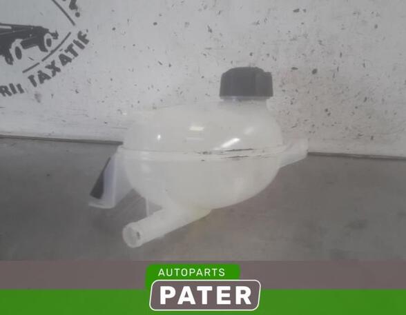 Coolant Expansion Tank RENAULT CAPTUR I (J5_, H5_), RENAULT CLIO IV (BH_), RENAULT CLIO III (BR0/1, CR0/1)