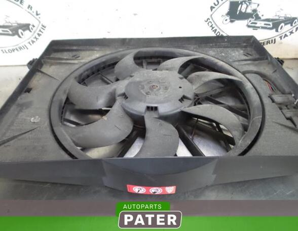 Radiator Electric Fan  Motor MERCEDES-BENZ CLS (C219)