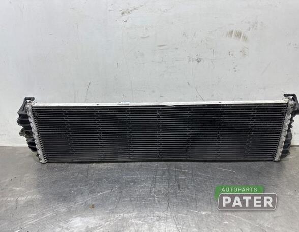 Radiator FORD FOCUS IV Turnier (HP)