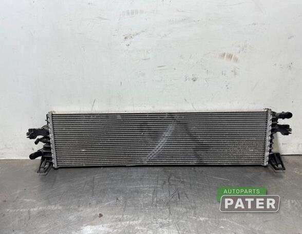 Radiator FORD FOCUS IV Turnier (HP)