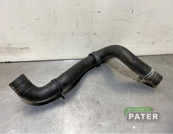 Radiator Hose RENAULT CAPTUR I (J5_, H5_), RENAULT CLIO IV (BH_)