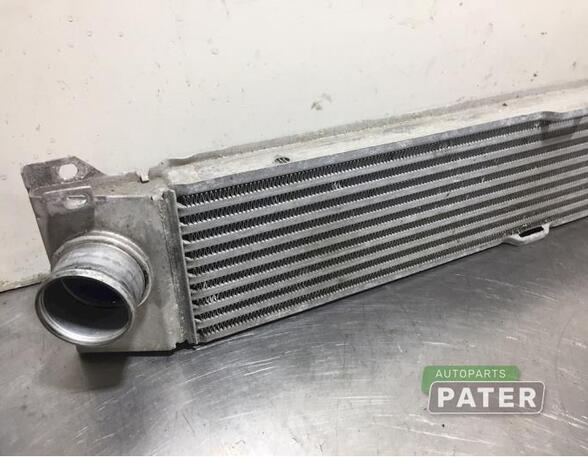 Intercooler FIAT DUCATO Bus (250_, 290_)