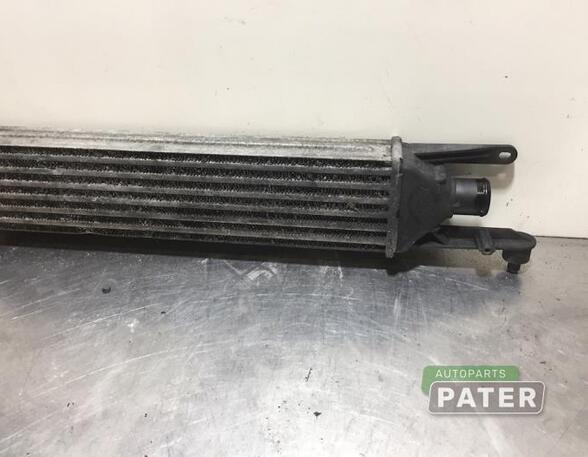 Intercooler FIAT GRANDE PUNTO (199_), FIAT PUNTO (199_), FIAT PUNTO EVO (199_)