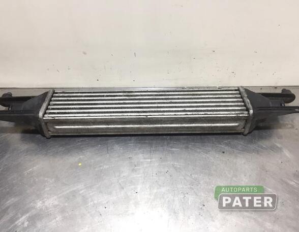 Intercooler FIAT GRANDE PUNTO (199_), FIAT PUNTO (199_), FIAT PUNTO EVO (199_)