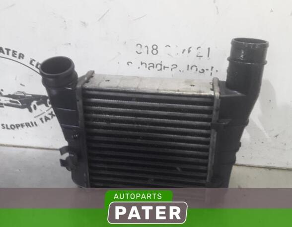 Intercooler AUDI A4 (8EC, B7)