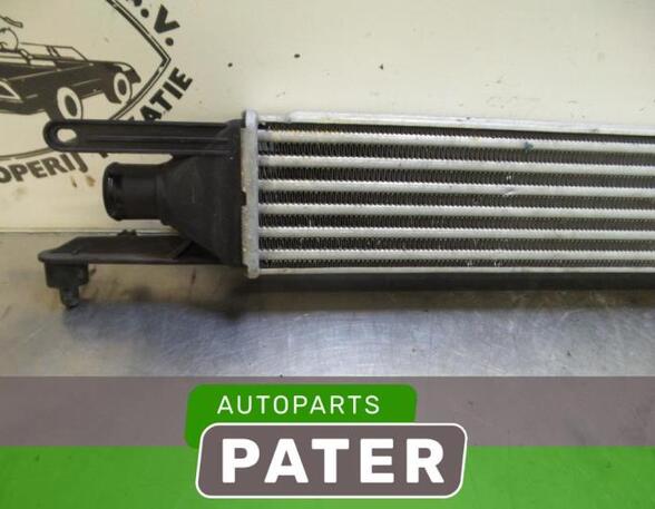 Interkoeler tussenkoeler FIAT GRANDE PUNTO (199_), FIAT PUNTO (199_), FIAT PUNTO EVO (199_)