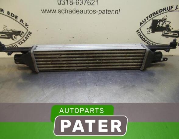 Intercooler FIAT GRANDE PUNTO (199_), FIAT PUNTO (199_), FIAT PUNTO EVO (199_)