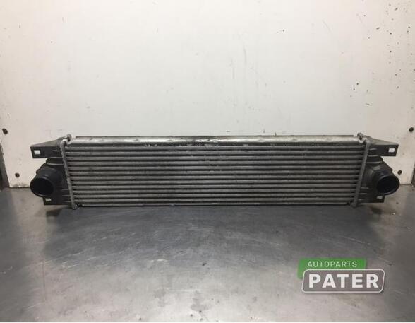 Intercooler RENAULT MASTER II Van (FD)