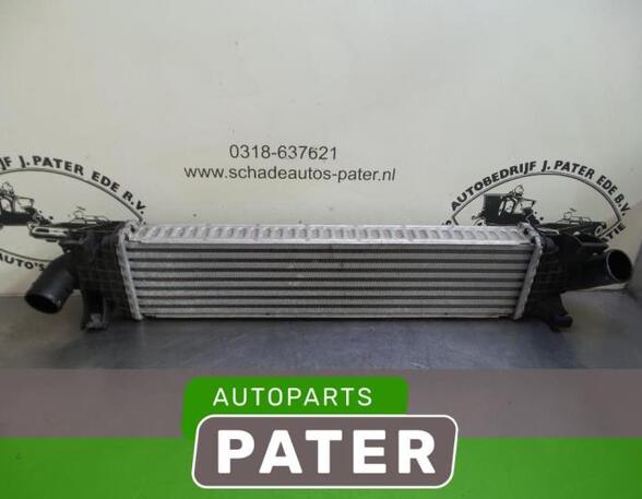 Intercooler FORD FOCUS II (DA_, HCP, DP)