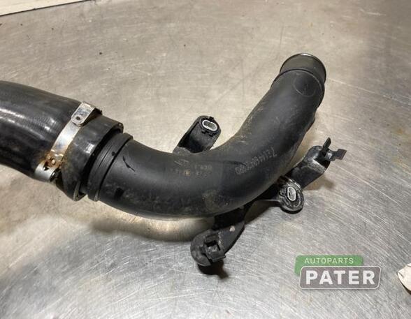 Air Hose Intake Manifold RENAULT CAPTUR I (J5_, H5_), RENAULT CLIO IV (BH_)