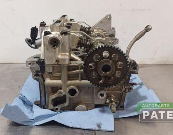 Cylinder Head FIAT PUNTO (199_)