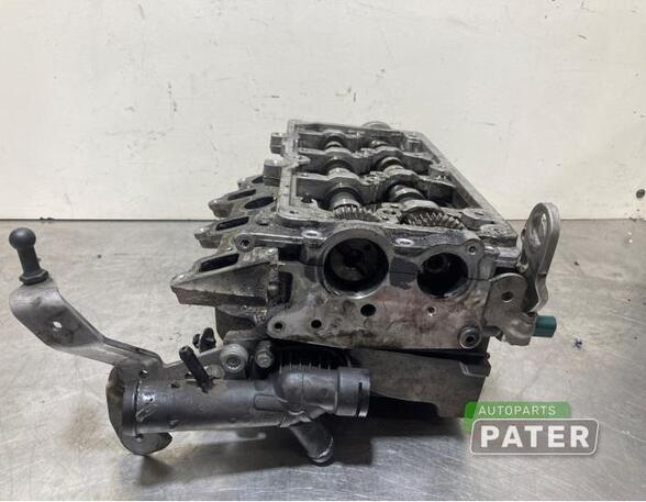 Cylinder Head SKODA FABIA II Combi (545), SKODA ROOMSTER Praktik (5J)