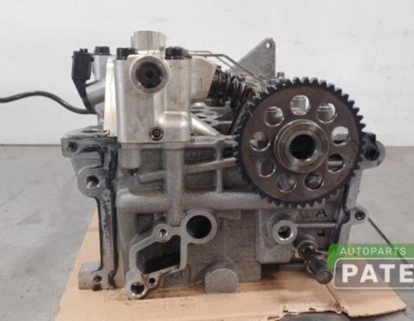 Cylinder Head FIAT PANDA (312_, 319_)