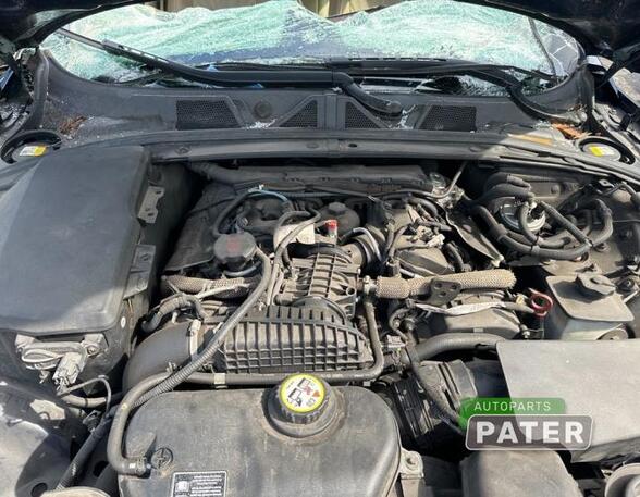 Bare Engine JAGUAR XF (X250)