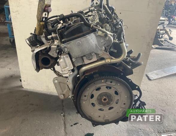 Bare Engine NISSAN PATHFINDER III (R51)