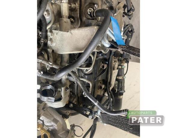 Bare Engine NISSAN PATHFINDER III (R51)