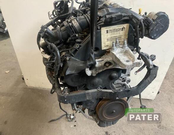 Motor kaal FORD FIESTA VI (CB1, CCN)